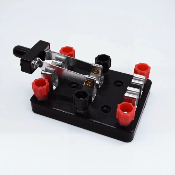 Переключатель двухполюсный (демонстрационный)